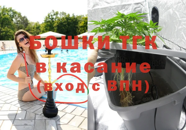МДПВ Гусев